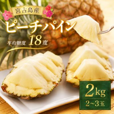 ふるさと納税 宮古島市 [2027年6月上旬から順次発送]宮古島産ピーチパイン2kg(2〜3玉)