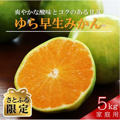 ふるさと納税 日高町 [さとふる限定][2026年10月〜発送]紀州のゆら早生みかん(家庭用)5kg (サイズ2S〜M)
