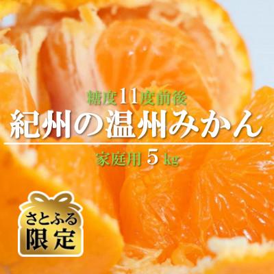 ふるさと納税 日高町 [さとふる限定][2026年12月発送]紀州の温州みかん(家庭用) 5kg
