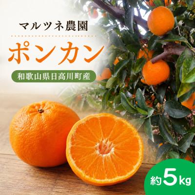 ふるさと納税 日高川町 香りが弾ける!濃厚な甘みの熟成ポンカン サイズ混合約5kg/和歌山県日高川町[マルツネ農園]