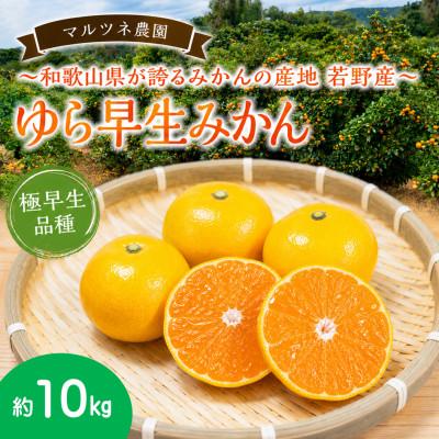 ふるさと納税 日高川町 酸味と甘味の絶妙なバランス!若野みかん「ゆら早生」サイズ混合3S〜L 約10kg/和歌山県日高川町