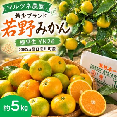 ふるさと納税 日高川町 旬を先取り!極早生みかん 3S〜Lサイズ約5kg(青みかん、品種:YN26)/和歌山県日高川町産