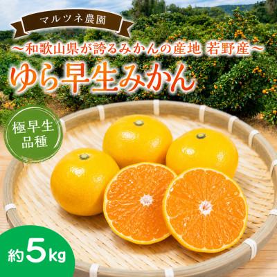 ふるさと納税 日高川町 甘い!濃厚!若野みかん「ゆら早生」サイズ混合3S〜L 約5kg/和歌山県日高川町