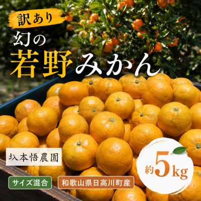 ふるさと納税 日高川町 [訳あり]樹上完熟 幻の「若野みかん」(温州みかん)サイズ混合約5kg/和歌山県日高川町/圦本悟農園