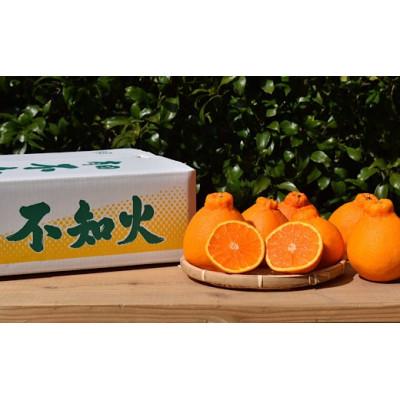 ふるさと納税 由良町 [2027年2月上旬順次発送]和歌山産 不知火 (デコポン) 約4kg 秀品[まごころ手選別]