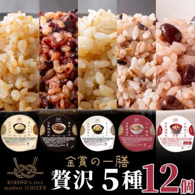 ふるさと納税 松原市 ご飯パック 金賞健康米 贅沢5種セット(玄米・雑穀) 12個