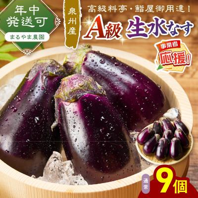 ふるさと納税 泉南市 まるやま農園 泉州生水なす 9個 ふるさと納税3.0