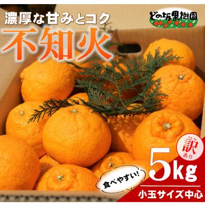 ふるさと納税 日高町 [訳あり]熟成不知火(しらぬい) 5kg(小玉サイズ中心)/2027年3月〜発送(デコポンと同品種)