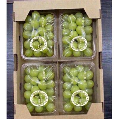 ふるさと納税 東かがわ市 はなまる農園シャインマスカット粒パック(250g×4)