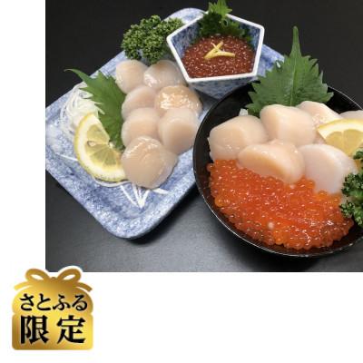 ふるさと納税 北見市 [さとふる限定]刺身ホタテ&amp;いくら醤油漬け&amp;大粒しじみ貝セット