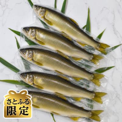 ふるさと納税 岩泉町 [さとふる限定]岩手岩泉小本川育ちの天然あゆ 600g