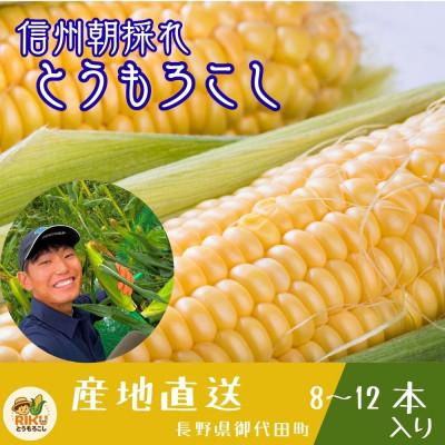 ふるさと納税 御代田町 長野県浅間山麓 朝採れとうもろこし 約4kg〜5kg(約8本〜12本入り)