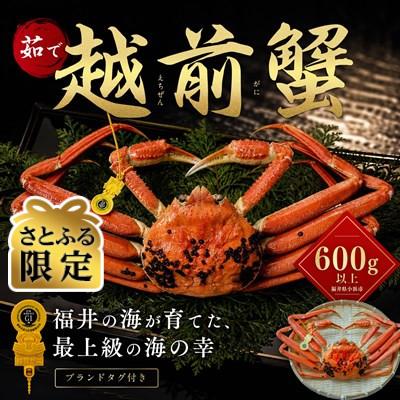 ふるさと納税 小浜市 [さとふる限定]越前がに 茹で 600g以上
