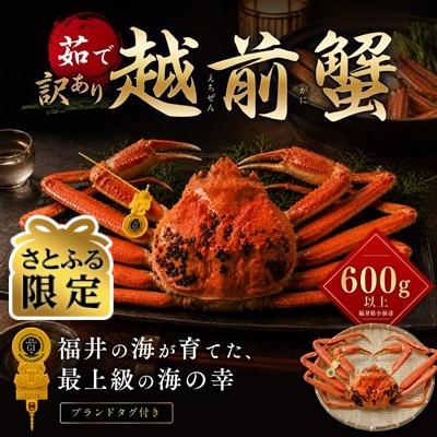 ふるさと納税 小浜市 [さとふる限定]訳あり越前がに 茹で600g以上 1杯