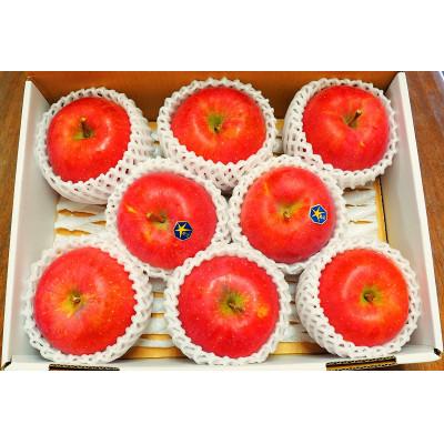 ふるさと納税 盛岡市 北斗 約3kg (7〜9玉)