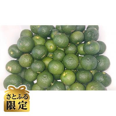 ふるさと納税 東洋町 [さとふる限定]青ゆず3kg(訳アリ)