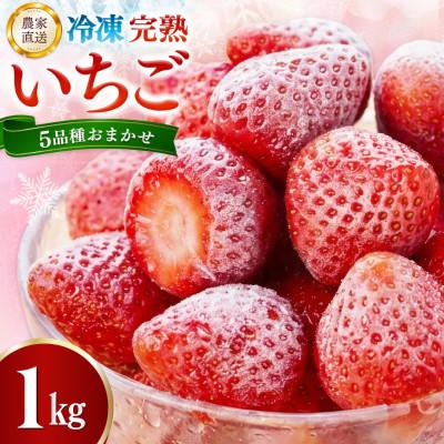 ふるさと納税 基山町 [農家直送]佐賀県基山町産 冷凍完熟いちご 約1kg(5品種おまかせ)