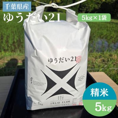 ふるさと納税 勝浦市 [令和8年産]ゆうだい21 千葉県勝浦市産 精米 5kg×1袋 2026年9月以降順次発送