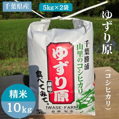 ふるさと納税 勝浦市 [令和8年産]ゆずり原(コシヒカリ)千葉県産 精米10kg(5kg×2袋)2026年9月以降順次発送