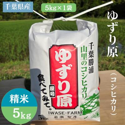 ふるさと納税 勝浦市 [令和8年産]ゆずり原(コシヒカリ) 千葉県勝浦市産 精米 5kg×1袋 2026年9月以降発送