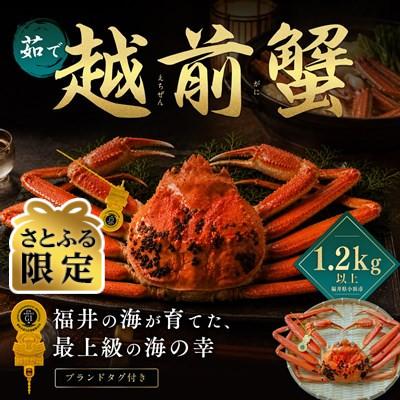 ふるさと納税 小浜市 [さとふる限定]越前がに 茹で 1.2kg以上 1杯 福井県産ズワイガニ
