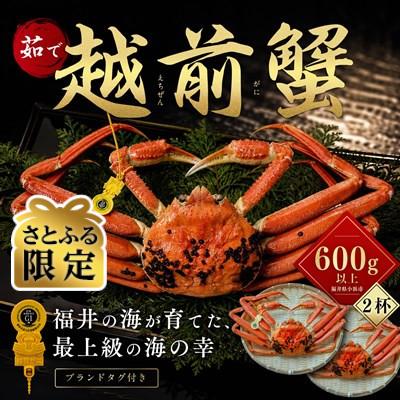 ふるさと納税 小浜市 [さとふる限定]越前がに 茹で 600g以上 2杯 福井県産ズワイガニ