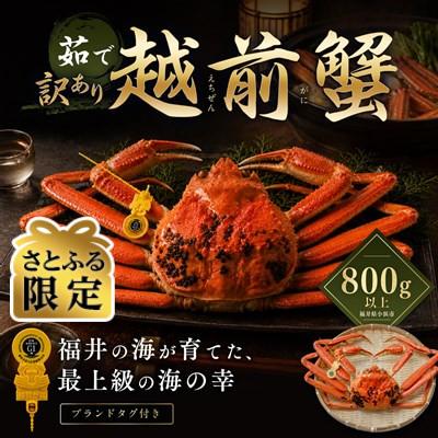 ふるさと納税 小浜市 [さとふる限定][訳あり]越前がに 茹で 800g以上 1杯 福井県産ズワイガニ 脚折れ・欠け