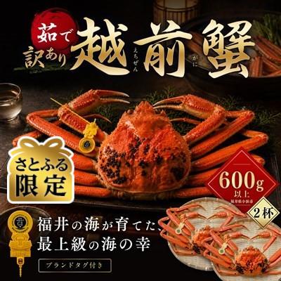 ふるさと納税 小浜市 [さとふる限定][訳あり]越前がに 茹で 600g以上 2杯 福井県産ズワイガニ 脚折れ・欠け