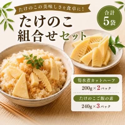 ふるさと納税 みやま市 たけのこ組合せセット (合計5袋)