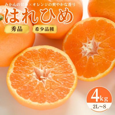 ふるさと納税 上島町 はれひめ4kg