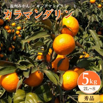 ふるさと納税 上島町 カラマンダリン5kg 愛媛県産