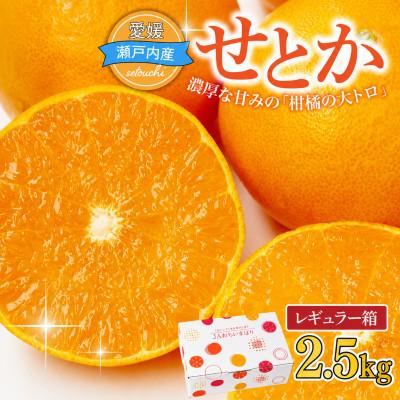 ふるさと納税 上島町 [先行受付]せとか 2.5kg JA選果品 愛媛県JAおちいまばり