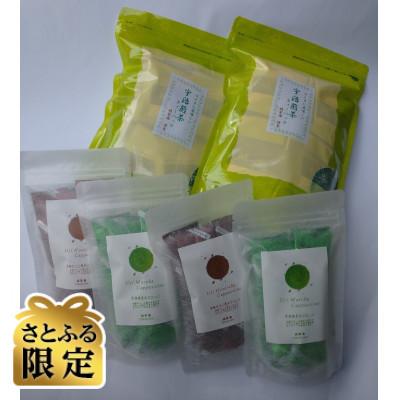ふるさと納税 城陽市 [さとふる限定]宇治煎茶ティーバッグ、宇治抹茶、宇治ほうじ茶カプチーノ2個セット