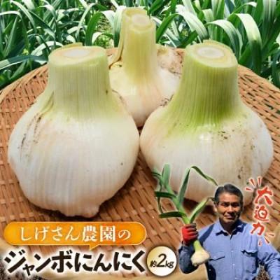 ふるさと納税 平戸市 ジャンボにんにく 約2kg