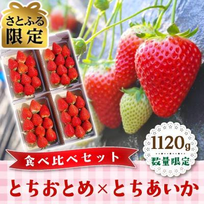 ふるさと納税 矢板市 [さとふる限定]数量限定 とちおとめ×とちあいか 食べ比べセット 1120g