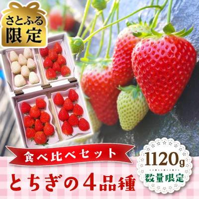ふるさと納税 矢板市 [さとふる限定]数量限定 栃木の4品種食べ比べセット1120g