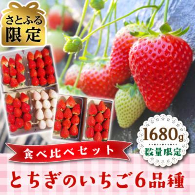 ふるさと納税 矢板市 [さとふる限定]数量限定 とちぎのいちご 6品種食べ比べセット1680g