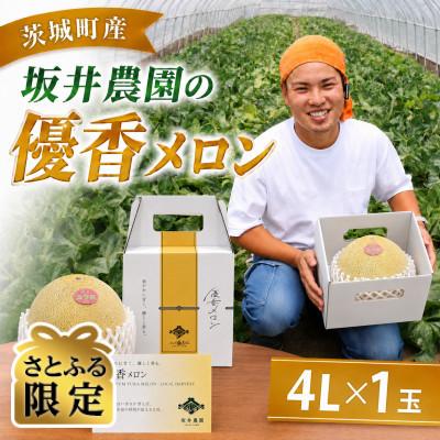 ふるさと納税 茨城町 [さとふる限定]優香メロン 4L × 1玉 先行予約 2027年5月上旬以降発送予定