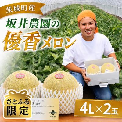 ふるさと納税 茨城町 [さとふる限定] 優香メロン 4L × 2玉 先行予約 2027年5月上旬以降発送