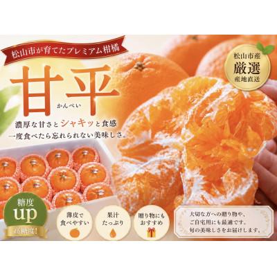 ふるさと納税 松山市 愛媛だけのプレミアムみかん 甘平(かんぺい) 約3キロ
