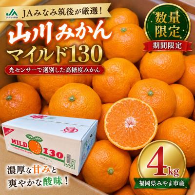 ふるさと納税 みやま市 [数量限定]山川みかん マイルド130 約4kg(みやま市)
