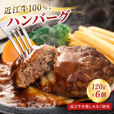 ふるさと納税 彦根市 近江牛100%使用! 近江牛ハンバーグ 6個 冷凍