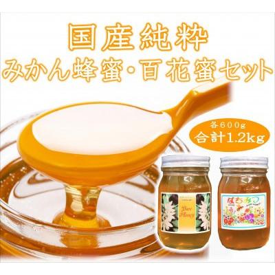 ふるさと納税 みなべ町 紀州のみかん蜜と百花蜜セット