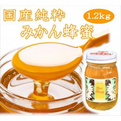 ふるさと納税 みなべ町 紀州のみかん蜜セット