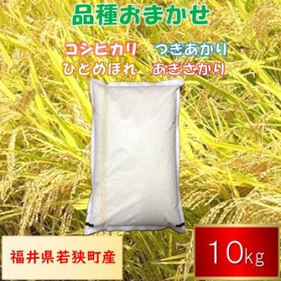ふるさと納税 若狭町 [令和7年産]福井県若狭町産 品種おまかせ 10kg 精米