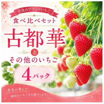 ふるさと納税 奈良市 [2027年1月より順次発送]いちご 古都華 食べ比べ 2種 計4パック 苺 mtn002_R9