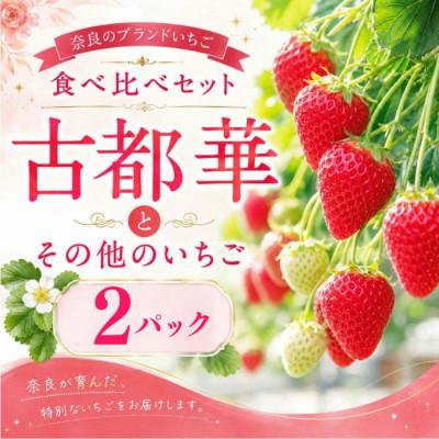 ふるさと納税 奈良市 [2027年1月より順次発送]いちご 古都華 食べ比べ 2種 計2パック 苺 mtn001_R9