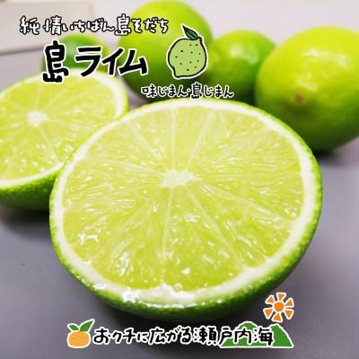 ふるさと納税 愛媛県 希望の島 ライム 家庭用 2kg 愛媛県松山市中島産