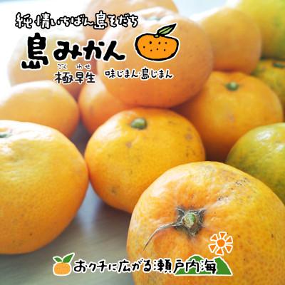 ふるさと納税 愛媛県 希望の島 温州みかん 極早生 家庭用 2kg 愛媛県松山市中島産