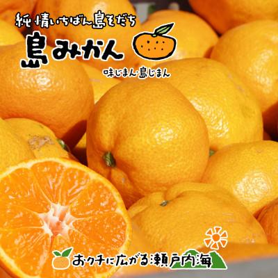 ふるさと納税 愛媛県 希望の島 温州みかん 特選品 中玉 2kg 愛媛県松山市中島産